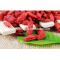 Dried Goji berry Organic Goji berry OEM supplier